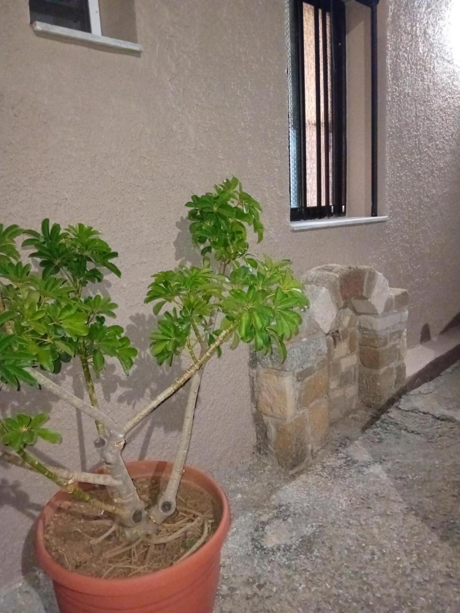 Villa Casa Artemis Plátanos Exterior foto